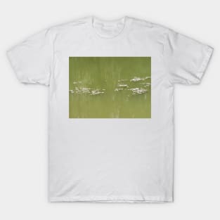 Fairy Ring in the Water #1 T-Shirt